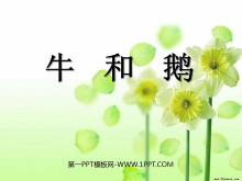 ţͶ졷PPTμ6
