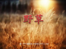 ҰݡPPTμ4