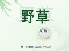 ҰݡPPTμ5