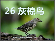 PPTμ3