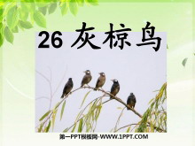 PPTμ5