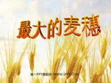 롷PPTμ5