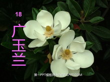PPTμ3