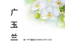 PPTμ4