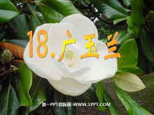 PPTμ5