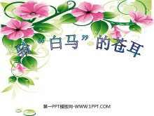 ĲԶPPTμ3