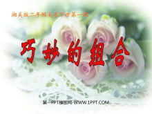 ϡPPTμ