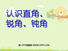 ʶֱǡǡ۽ǡǵĳʶPPTμ