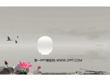̬¹ŵйPPTͼƬ