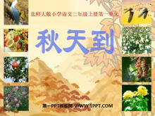 쵽PPTμ3