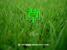ݡPPTμ7