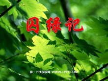 ̼ǡPPTμ3