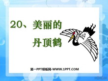 ĵסPPTμ4