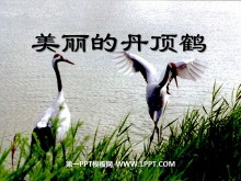 ĵסPPTμ5