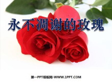 лõ塷PPTμ3