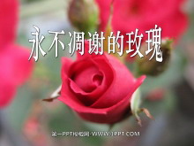лõ塷PPTμ4
