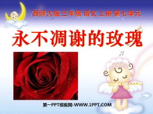 лõ塷PPTμ5