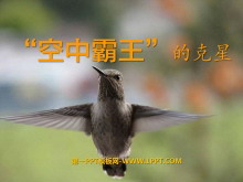 аĿǡPPTμ4
