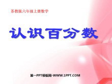 ʶٷPPTμ4