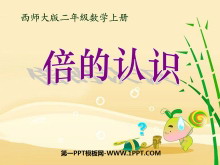 ʶڳPPTμ