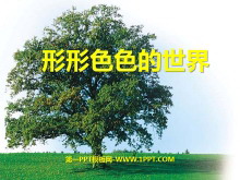 ɫɫ硷PPTμ