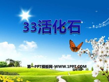 ʯPPTμ3