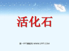 ʯPPTμ5