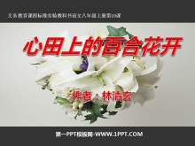 ϵİٺϻPPTμ5