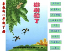 ˡPPTμ8