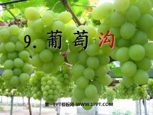 ѹPPTμ9