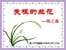 ʧPPTμ