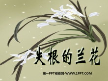 ʧPPTμ4