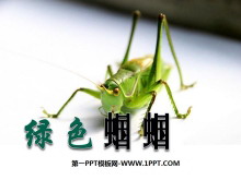 ɫ塷PPTμ7