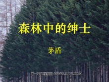 ɭеʿPPTμ