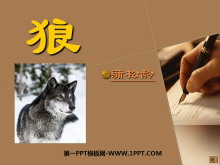 ǡPPTμ8