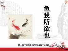 ҲPPTμ6
