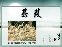硷PPTμ4