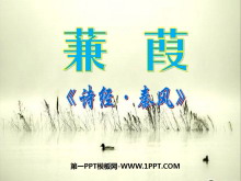 硷PPTμ5