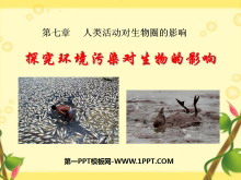 ̽ȾӰ졷ȦӰPPTμ