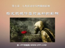 ̽ȾӰ졷ȦӰPPTμ2
