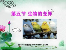 ı졷ŴͱPPTμ4