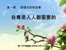 ˶Ҫġϧ޼۵PPTμ2