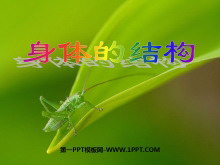 ĽṹǵPPTμ3