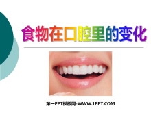 ʳڿǻı仯ǵPPTμ3