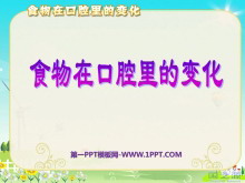 ʳڿǻı仯ǵPPTμ4