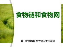 ʳʳ뻷PPTμ2