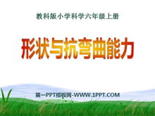 ״뿹״ṹPPTμ