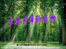ֲֶĶPPTμ3