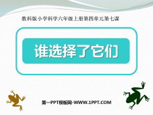 ˭ѡǡĶPPTμ