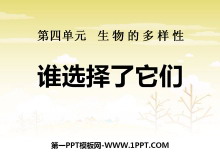 ˭ѡǡĶPPTμ2